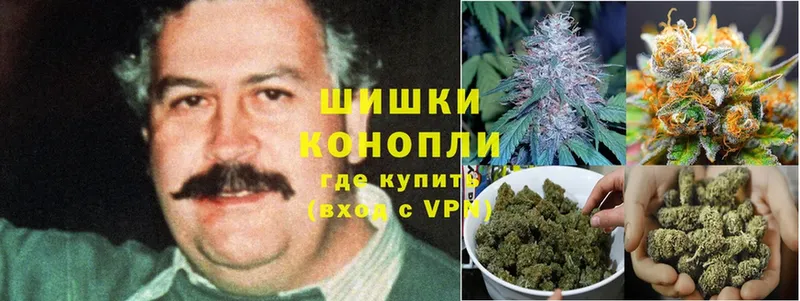 купить   Олонец  Конопля индика 